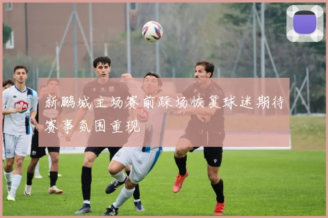 新鹏城主场赛前踩场恢复球迷期待赛事氛围重现
