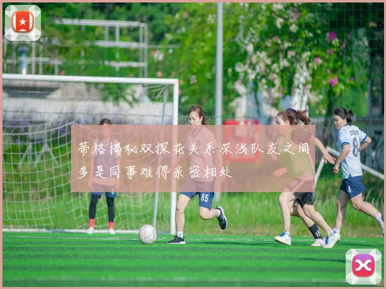蒂格揭秘双探花关系深浅队友之间多是同事难得亲密相处